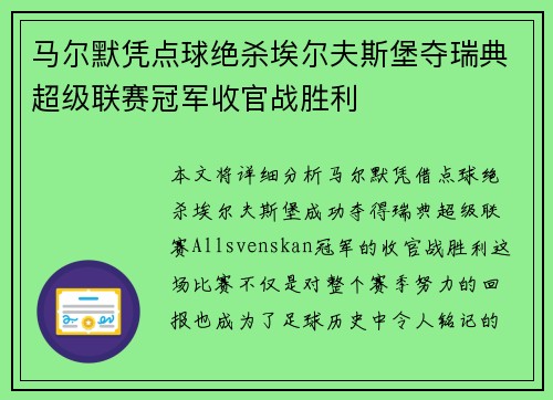 马尔默凭点球绝杀埃尔夫斯堡夺瑞典超级联赛冠军收官战胜利 马尔默凭点球绝杀埃尔夫斯堡夺瑞典超级联赛冠军收官战胜利